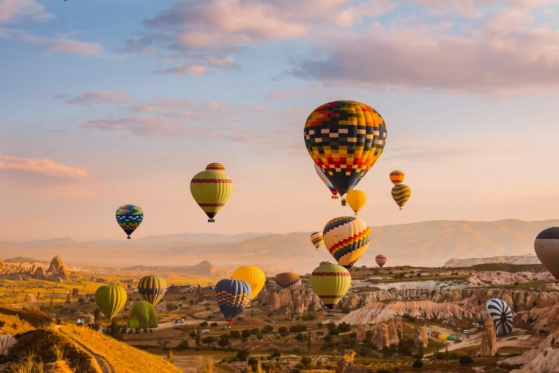 turkey
